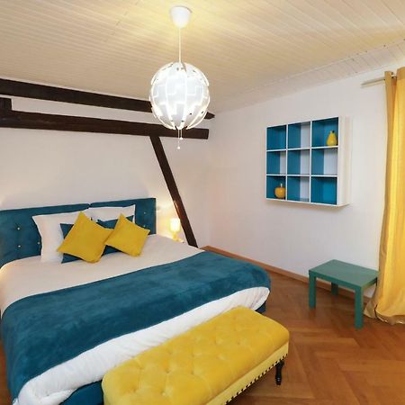 Maison Centre Ville Colmar Jacuzzi Jardin Et Climatisation Экстерьер фото