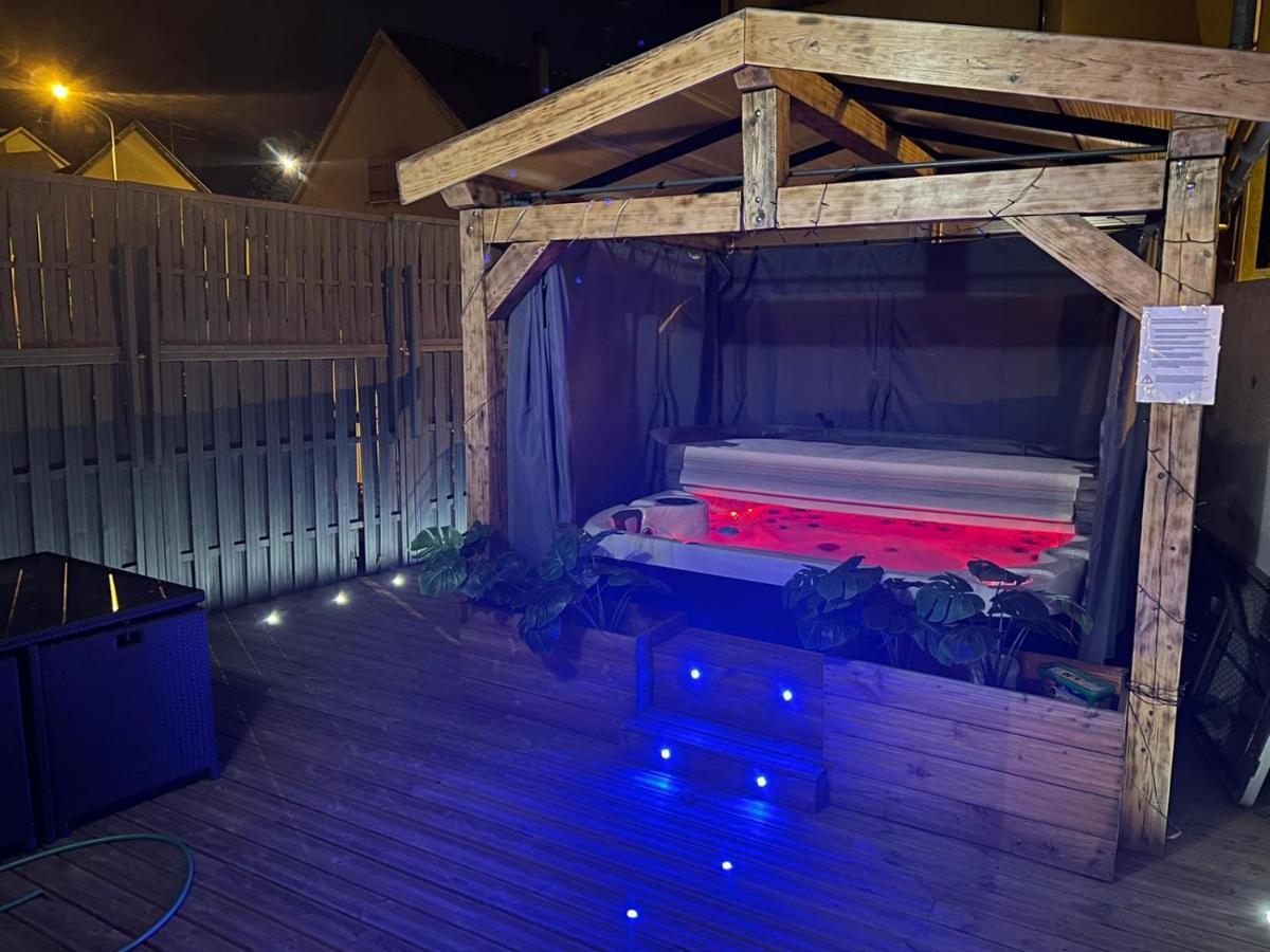 Maison Centre Ville Colmar Jacuzzi Jardin Et Climatisation Экстерьер фото